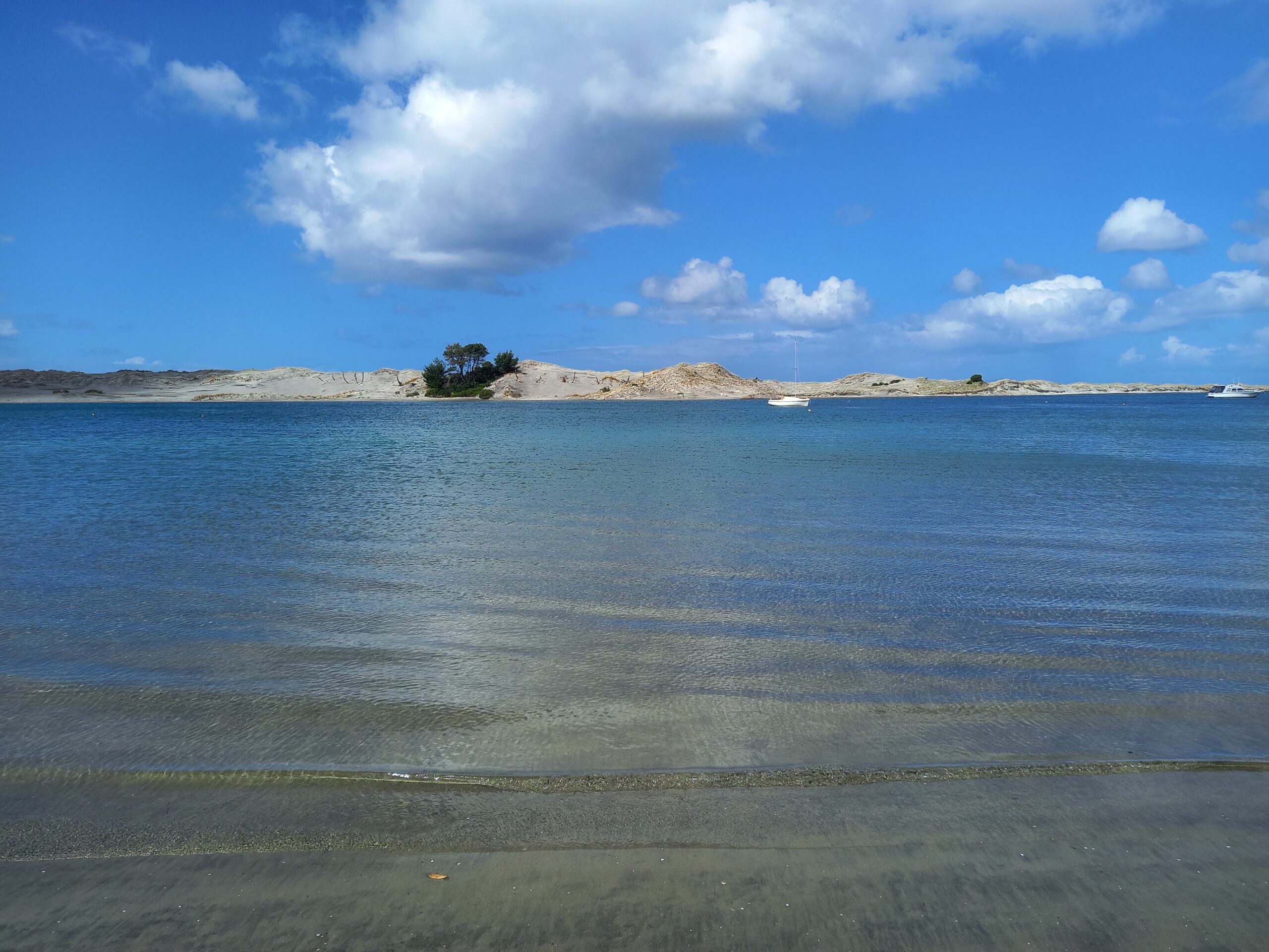 Estuary Estuary